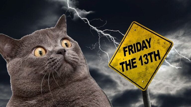 Worried-looking grey cat in front of a stormy sky with lightning, next to a yellow warning sign that reads “Friday the 13th”.